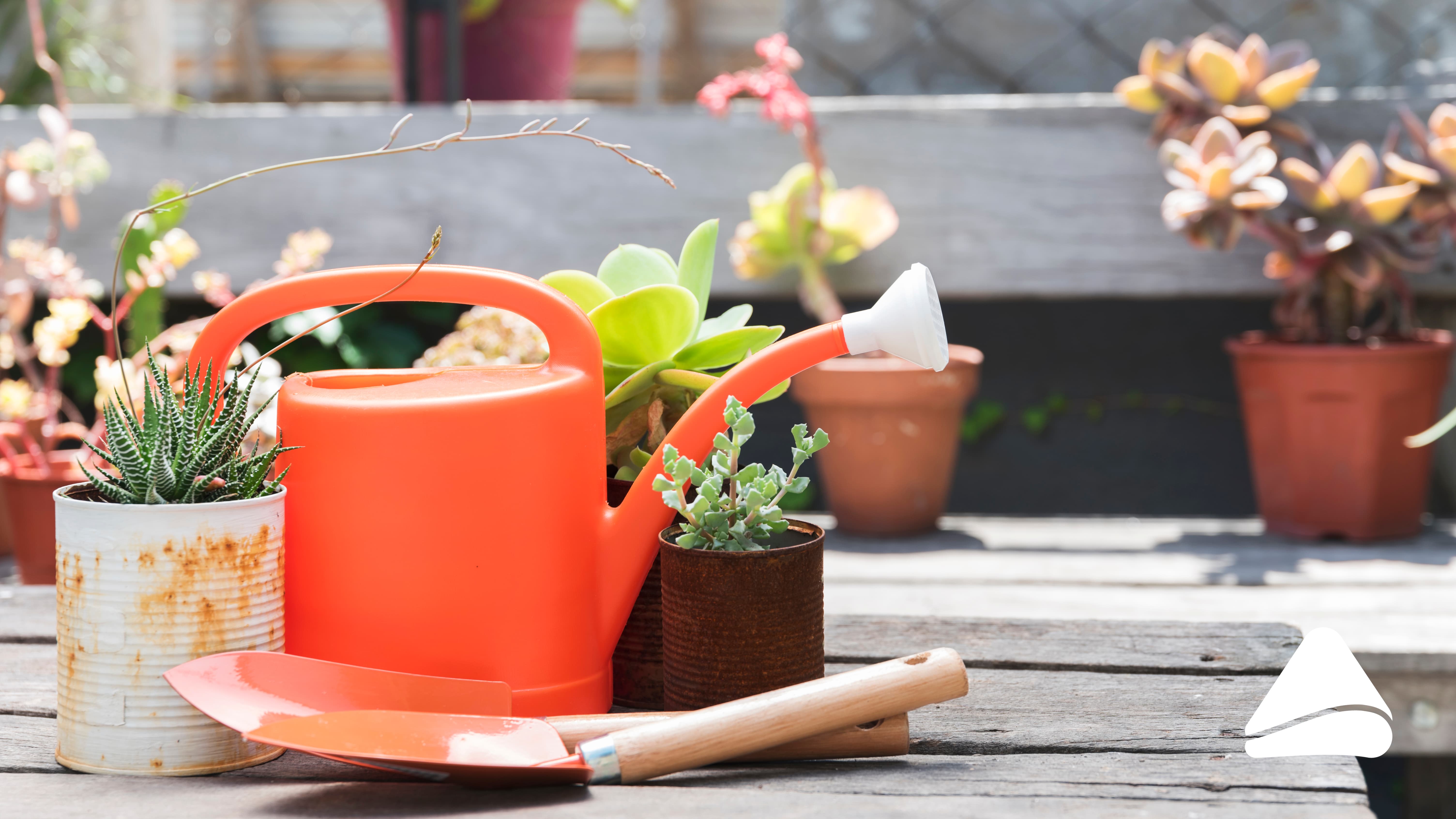 6 dicas para manter as plantas da sua casa saudáveis no inverno 6 dicas para manter as plantas da sua casa saudáveis no inverno